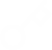 Key White Icon