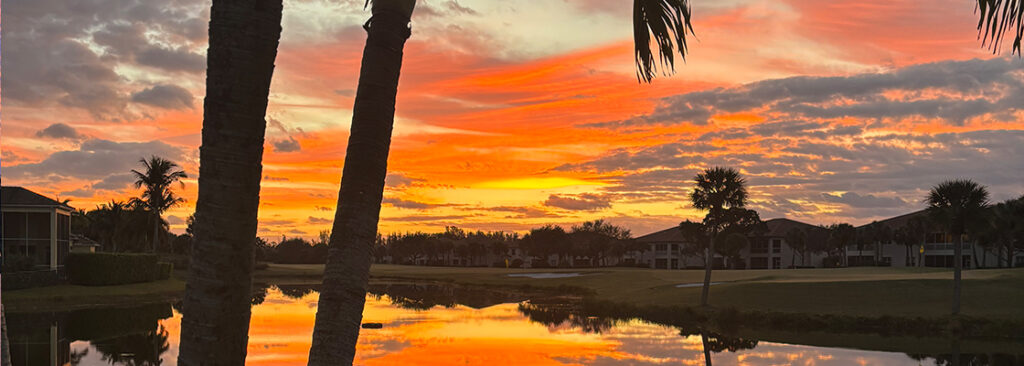 Sunset Palm Trees Lake May 2026