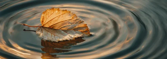 Leaf Water Hunger Jujutsu Featured Image