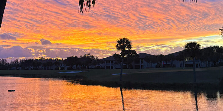 Sunset Palm Trees Lake