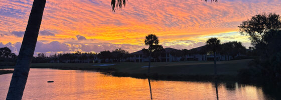 Sunset Palm Trees Lake