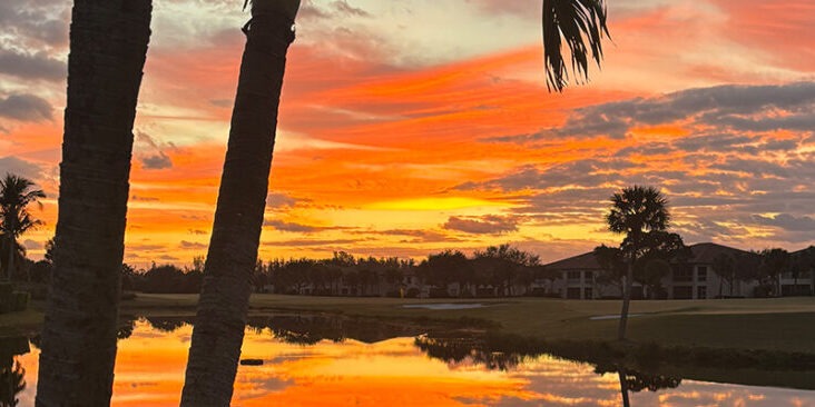 Sunset Palm Trees Lake May 2026