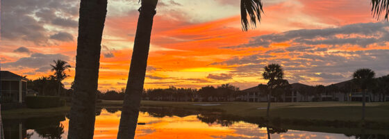 Sunset Palm Trees Lake May 2026
